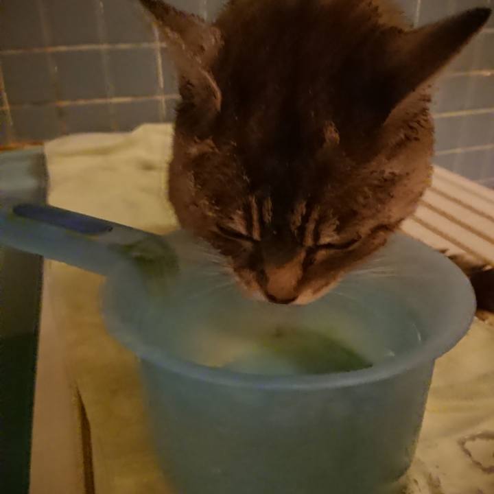 7fd09546 21a0 4d32 b031 e7fc900f2ad5 1569317500920