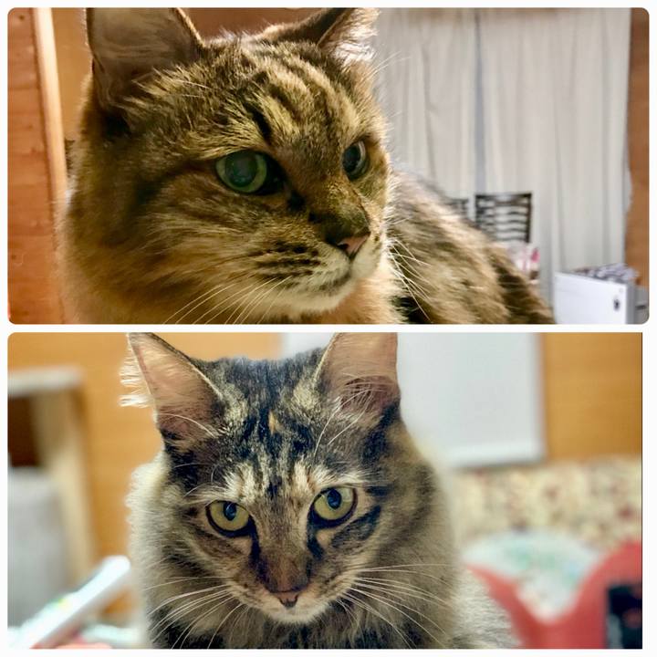 7fd0b20d acc8 4d0e a6a3 e6864db6e0d5 1657111039338