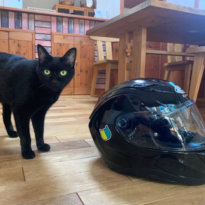 7fd0b75b 9896 4a45 b564 da648877f69b 1663229795824