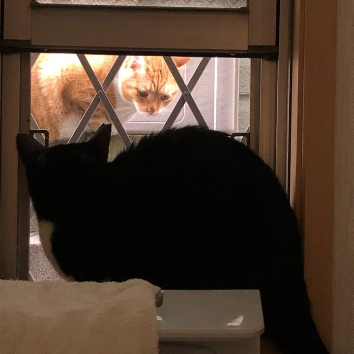 7fd11857 57c4 4927 a5ed fef19e06f034 1623303755981