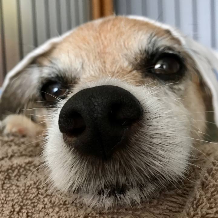 7fd14bb3 0340 47e1 b459 b7d7ff1c7f58 1624599011794