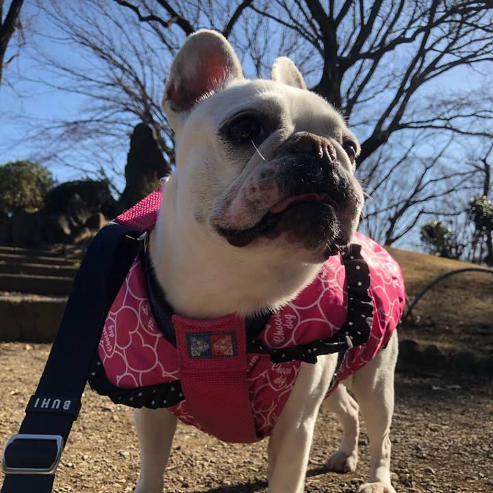 7fd1608a 810d 42cf ad14 7014279aac8a 1613024952226