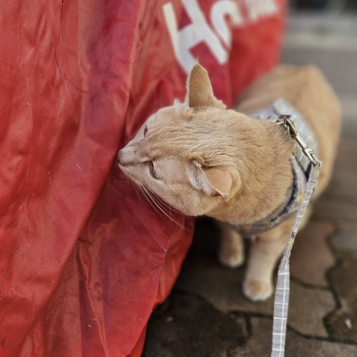 7fd166c8 e488 4e18 b1b6 199ce7c6b84d 1732355950698