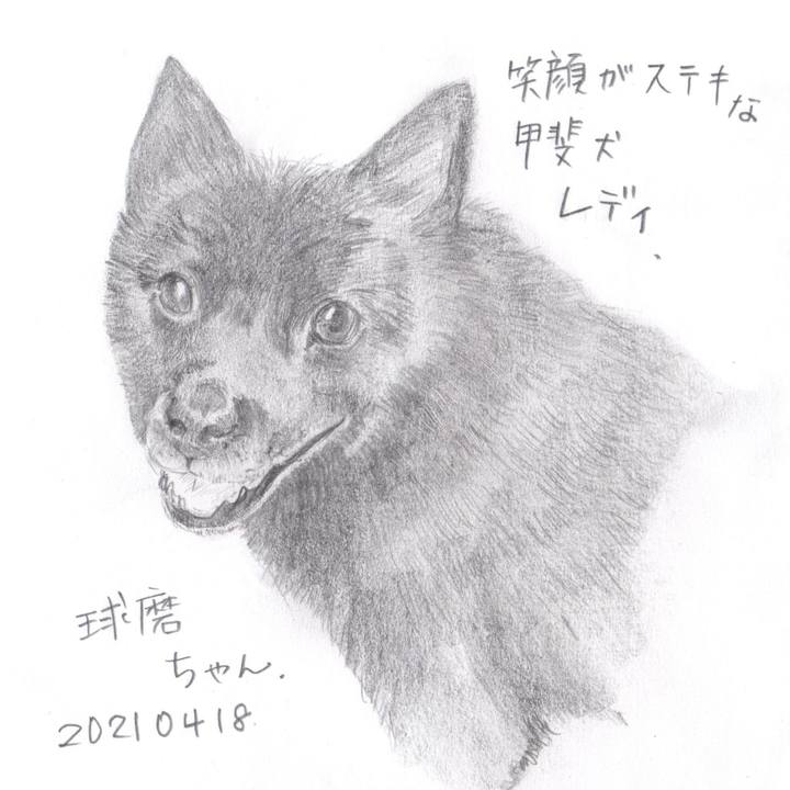 7fd1ddf0 9efb 49ff b9bc 734112ef7394 1618725406189