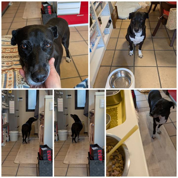 7fd1e155 20f3 4cc6 a8fe c63510a51ebf 1725851216889