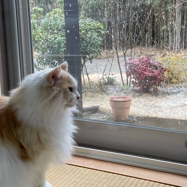 7fd1ea04 5d33 4319 b6a2 b216d4c7b89b 1707122315993