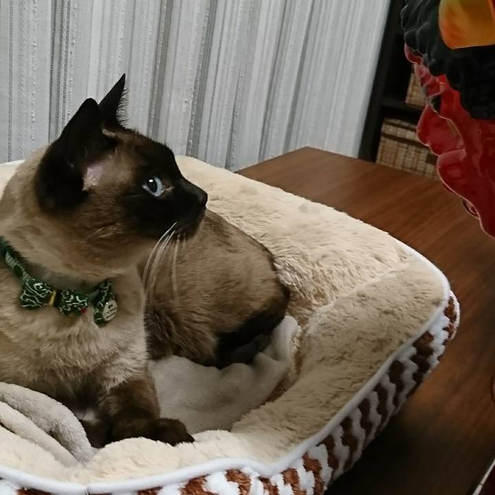 7fd1fb02 0276 47d3 96c0 3df3c0c34369 1517655432341