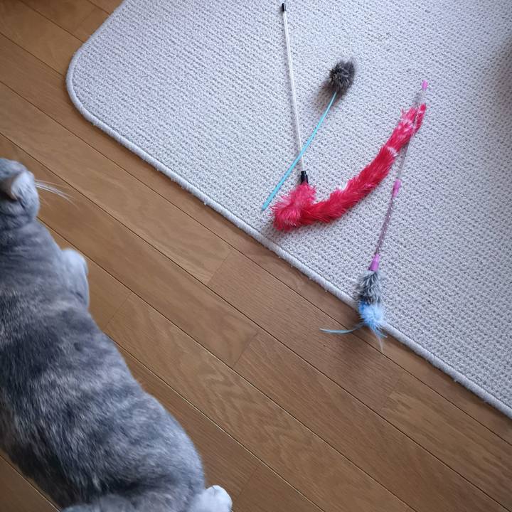 7fd1fb45 b726 4592 a245 efd1755f768b 1578111854423