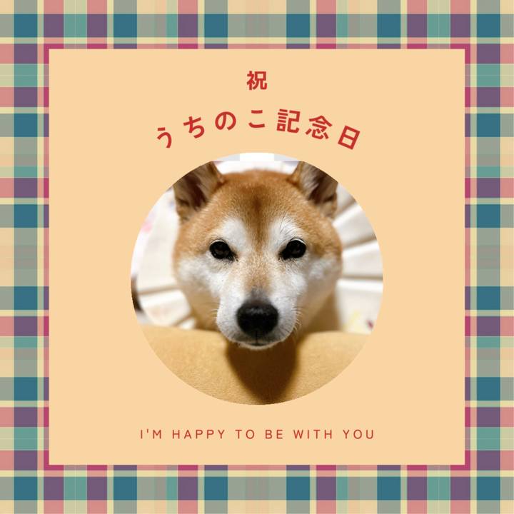 7fd21329 91fa 4998 8133 209a399ca9d2 1705018746766