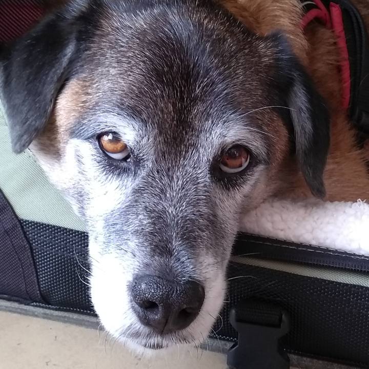 7fd22194 5183 4a87 8a66 4c9f6a1b6317 1573691016731