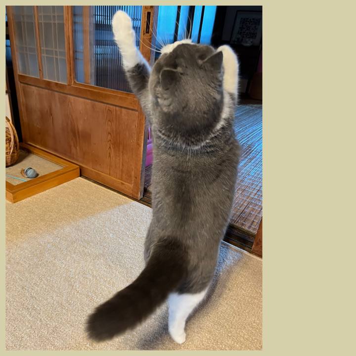 7fd25a22 8c91 4dc3 8e5d 6df4e8764ae1 1646554274617