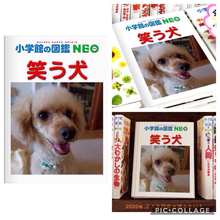 7fd25bc5 605d 44c1 8cb5 8c7a20ea4069 1578185587325