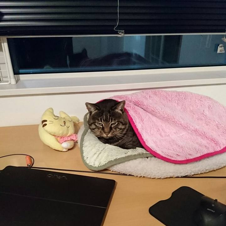 7fd28518 c8f4 4228 9255 32ecea84a601 1510910966887