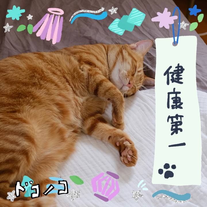 7fd292c6 cd38 477c a081 309f15d4467f 1720787284315