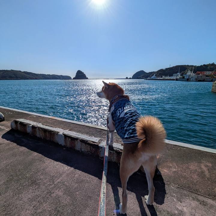 7fd29e38 bd4e 4497 a846 62a4e31dd662 1734620975485