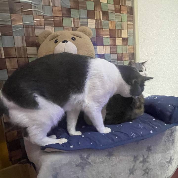 7fd2b9ac 6149 4bce 9341 a40f70b4cf75 1628685104536