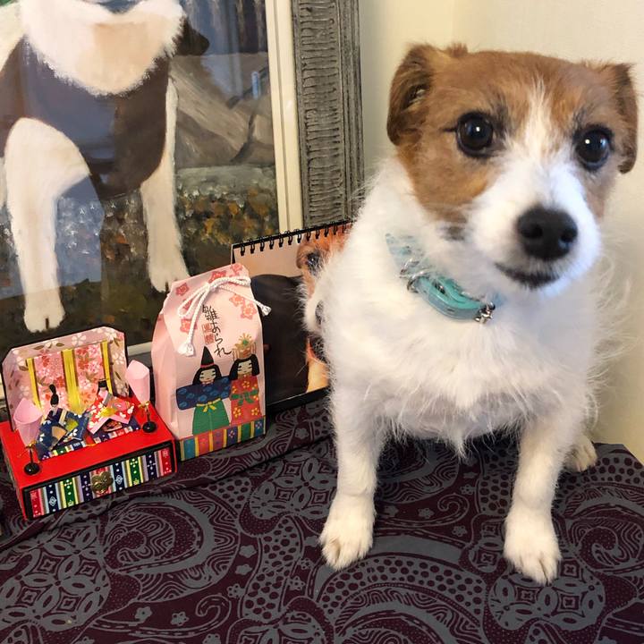 7fd2c282 e589 4146 9691 ce0c707f9b1e 1551792123438