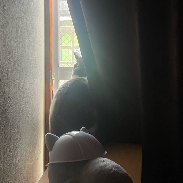 7fd2de40 4c4b 42df 888b 27d64e700fe6 1681424400276