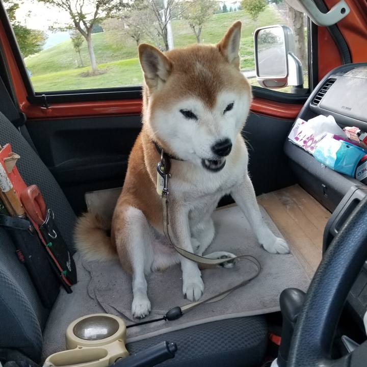 7fd32a32 51ea 4d57 a2ef 5e2d06eb527b 1664524874170