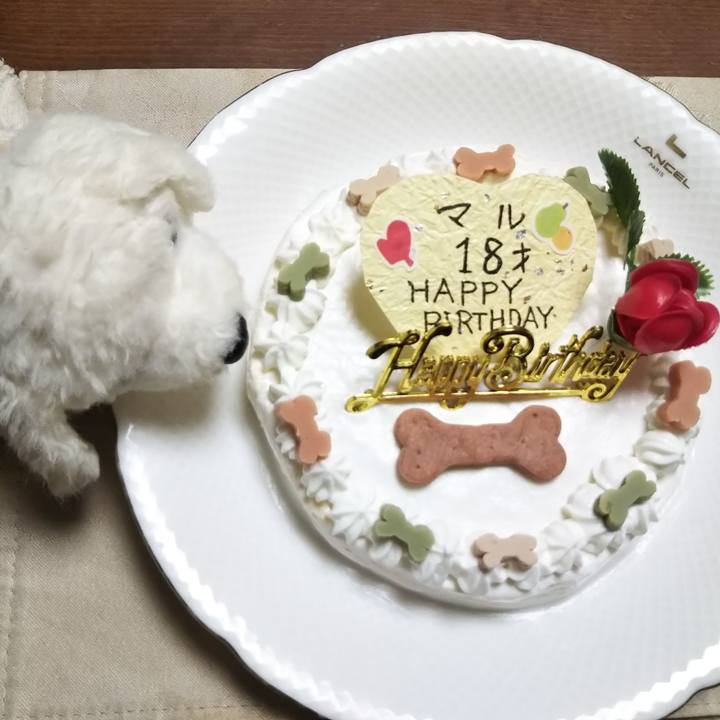 7fd33289 ef6e 4fa9 b165 7cf990a1c2ab 1541073613693