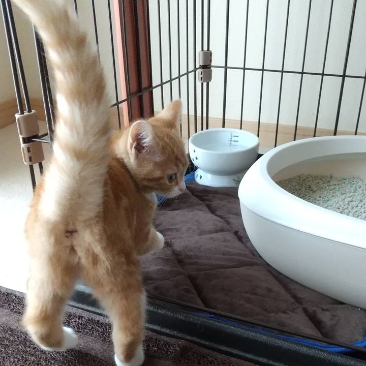 7fd332d3 2e9d 47b7 904d 255d56ca02eb 1622341860432