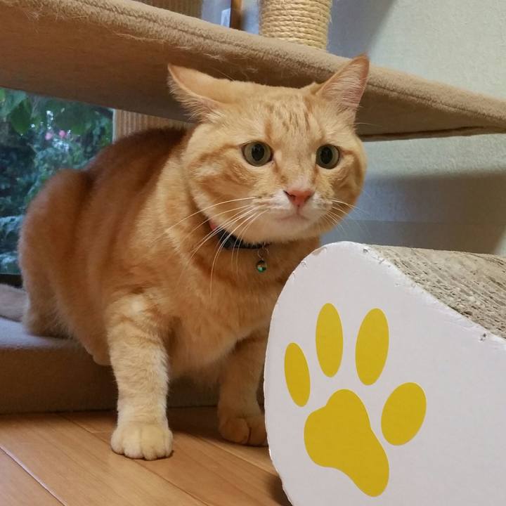 7fd346c7 8fe8 4e18 851b 3c8d370b7a00 1535324567597