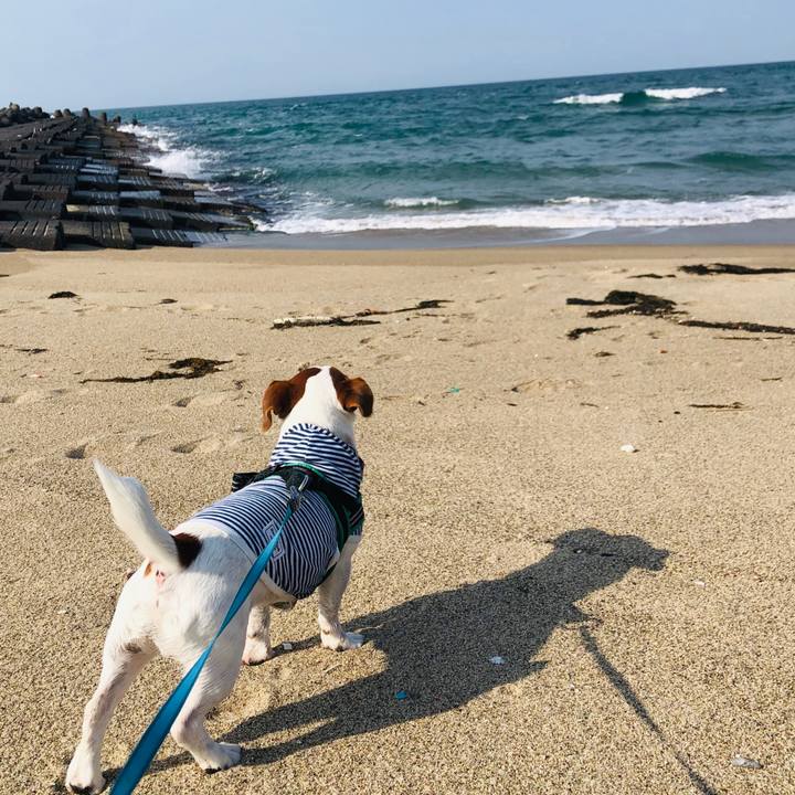 7fd35d94 167f 48f4 809c 145aa1198ffd 1585899895368