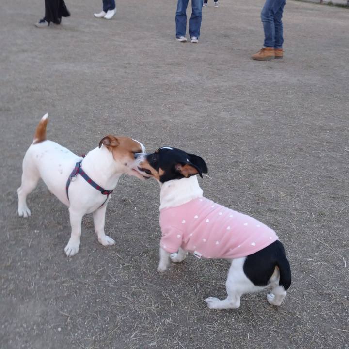 7fd362a2 7520 4665 b0a2 cef504073149 1612703181090