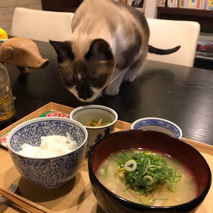 7fd368b0 4664 4080 9cc5 efc2e26e740e 1542838821001