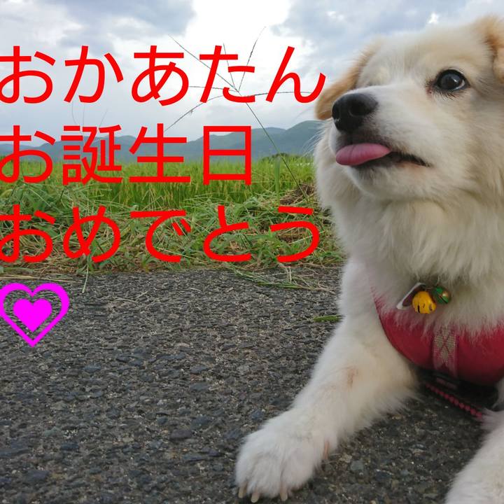 7fd36c1c 0b1e 4c6f 8d16 9efcb7e1d430 1535249945340