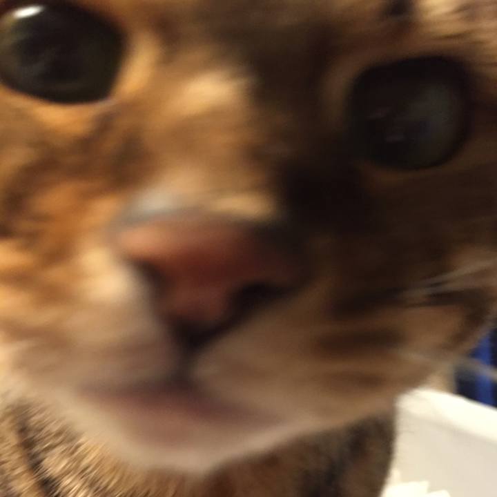 7fd39b9f f9e4 442c 9256 96ea1ebe06dd 1517290756116