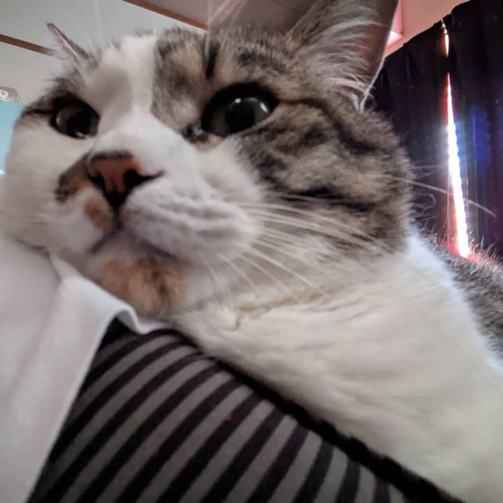 7fd3bbf9 f999 41b9 9587 12434e945b92 1748749704622