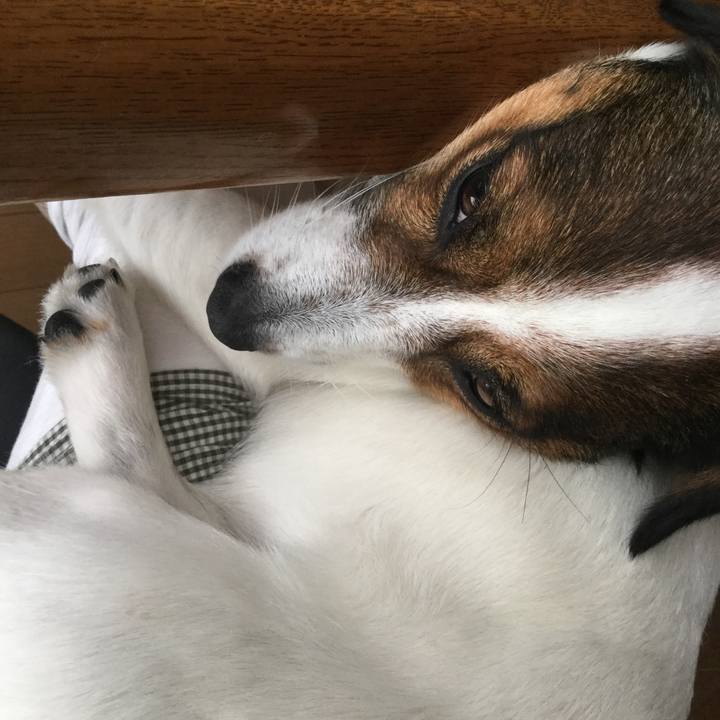 7fd420a3 80c4 4271 a46c 79aa8c967caf 1530332947593