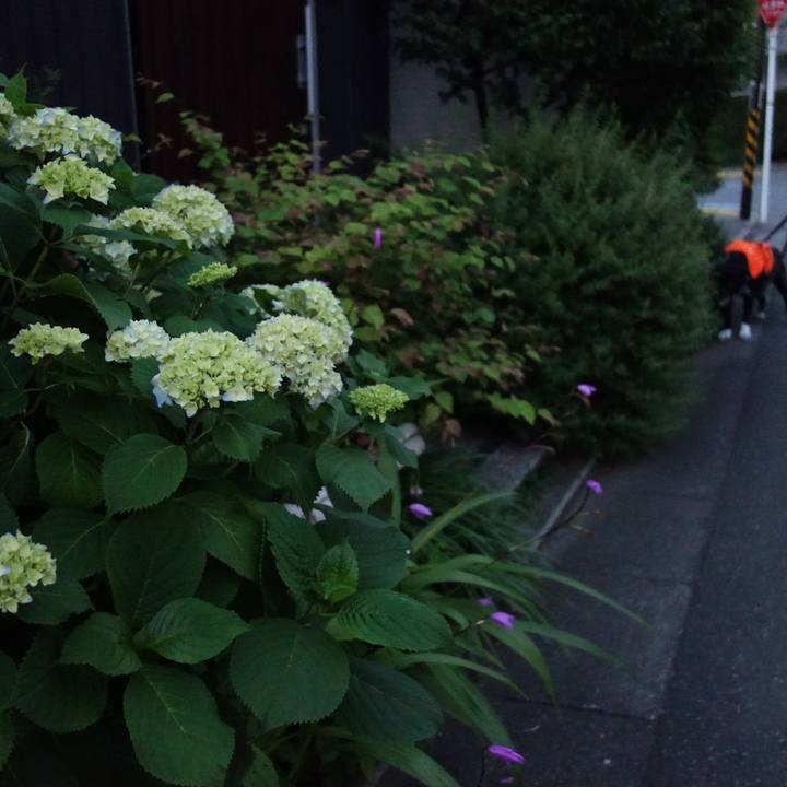 7fd436a2 4cc0 4295 9886 cf5518300078 1747739507441