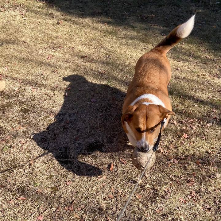 7fd44b2f 6474 42f4 9741 4652a386fc5f 1672791780201