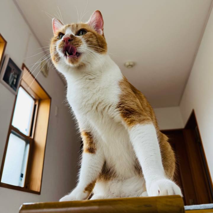 7fd4536d 5f8c 46bf afdf c73205eaa3de 1757472132637