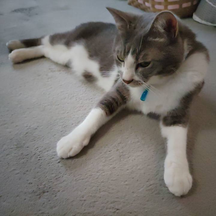 7fd494de b304 4034 803c 579ac437baa9 1662069433093