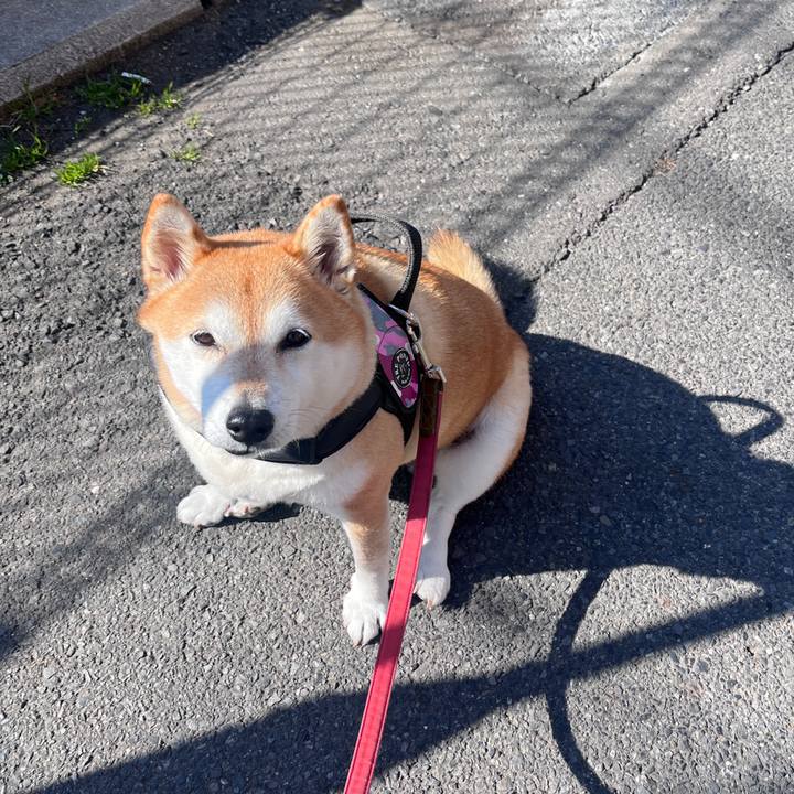 7fd4dcb3 9985 4c52 ae30 7787c12aeb10 1707010498473