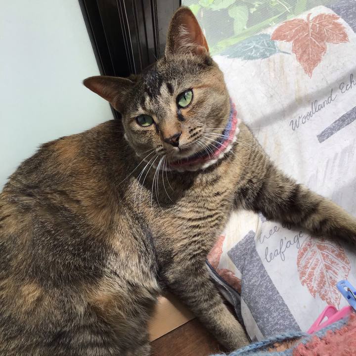 7fd514d1 83f8 4321 b20c bd3a955cb3dc 1624327464387