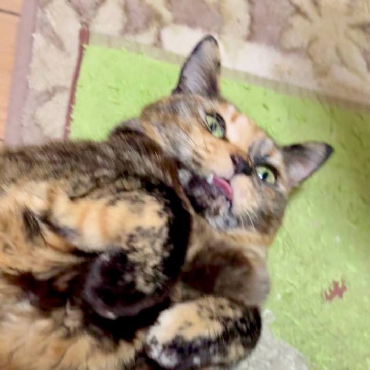 7fd51dd0 1410 4ca7 a951 2da3334cb494 1773433277078