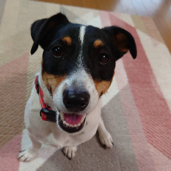 7fd53843 435e 4953 b4cf d398dde7faf5 1657776220280