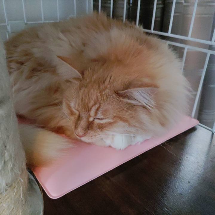 7fd5afe5 cda9 4872 b3de ebb7b02eb6b5 1676768837826