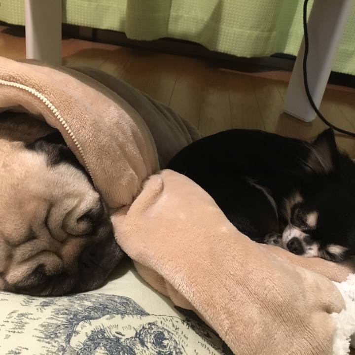 7fd5b380 d419 41fc 92e5 da9560a70b26 1514252500976