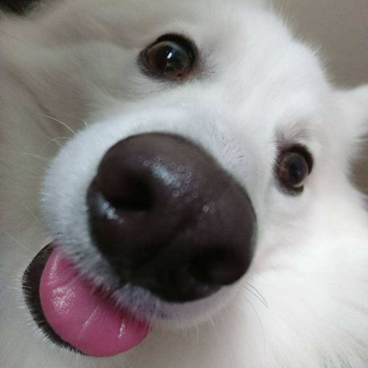 7fd5caa0 4d64 4265 a182 26384afab506 1519273981539