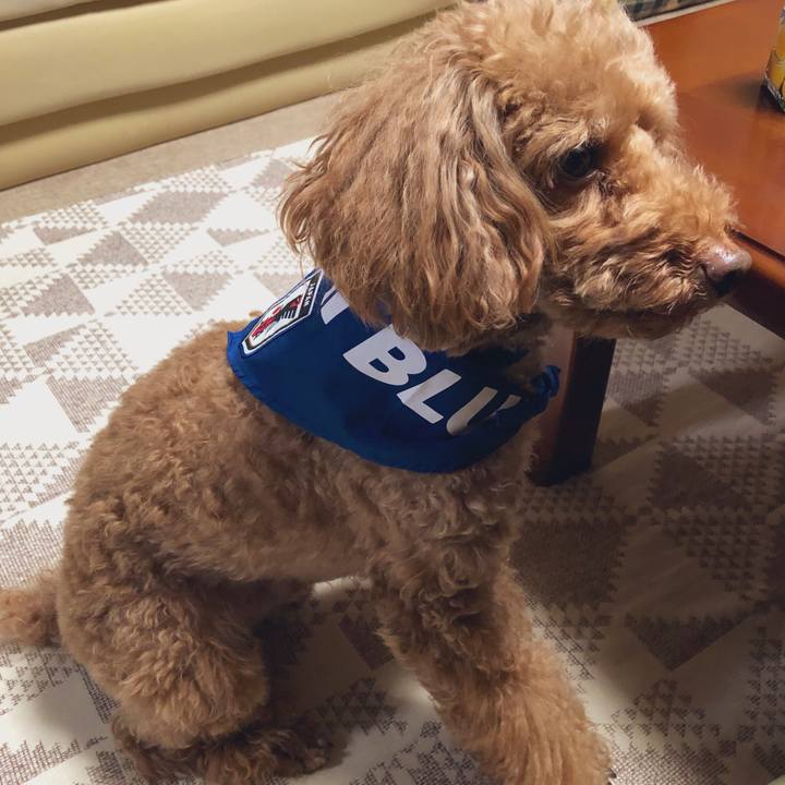 7fd602f4 dbb3 478e b365 db74397a735d 1559276191052