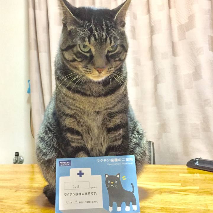 7fd61355 03af 4ec3 9708 c0cd109be0d7 1511338079771