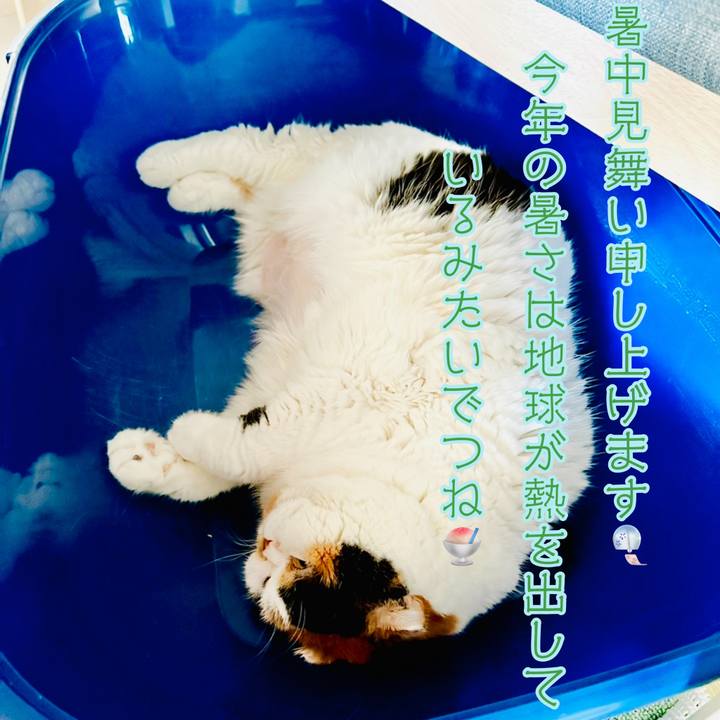 7fd63599 78ed 4b24 b0b2 aa6386c736d7 1722989947556