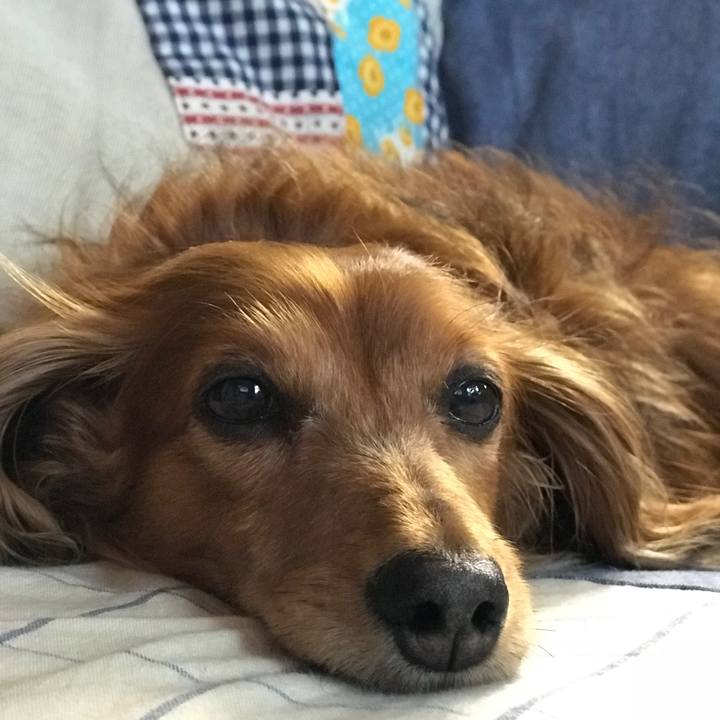 7fd64280 eb87 4aea 8a86 639e640856b9 1528494073749