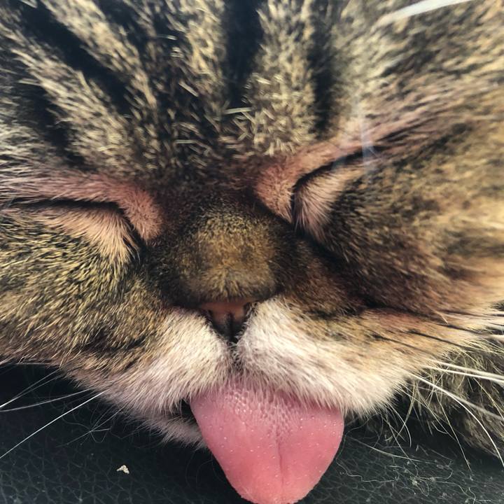 7fd644fa c336 49f8 a688 22884372ac05 1581139352916