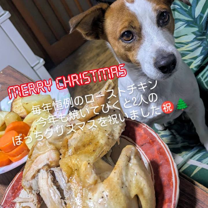 7fd64e0e 85f4 427d a188 f2f7580ccfcc 1735080584468